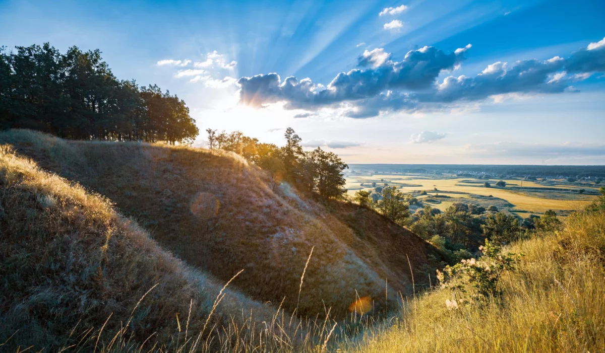 Rok 2020 - czy  znaleźć psychologa?