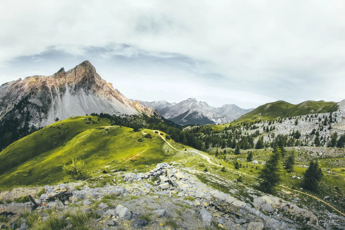 Nowości w 2024 jak  stworzyć ładny dom i ogród