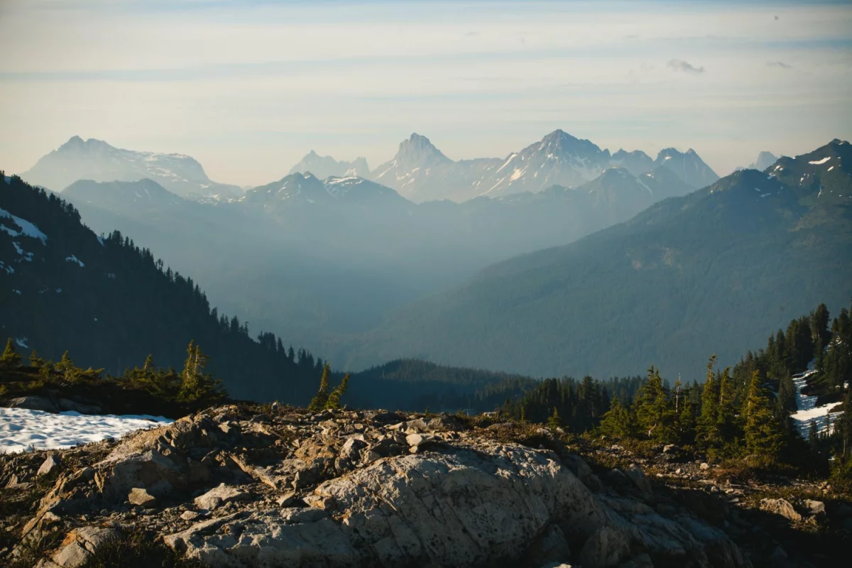 Nie Czytaj Tego Jeśli NIE Chcesz zamówić pokazy tańca Warszawa