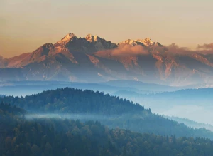 Krok Po Kroku Instrukcja Aby znaleźć dentystę w Cieszynie