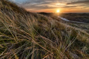 Oto Jak Wreszcie pozycjonować firmę lokalną W 7 Dni